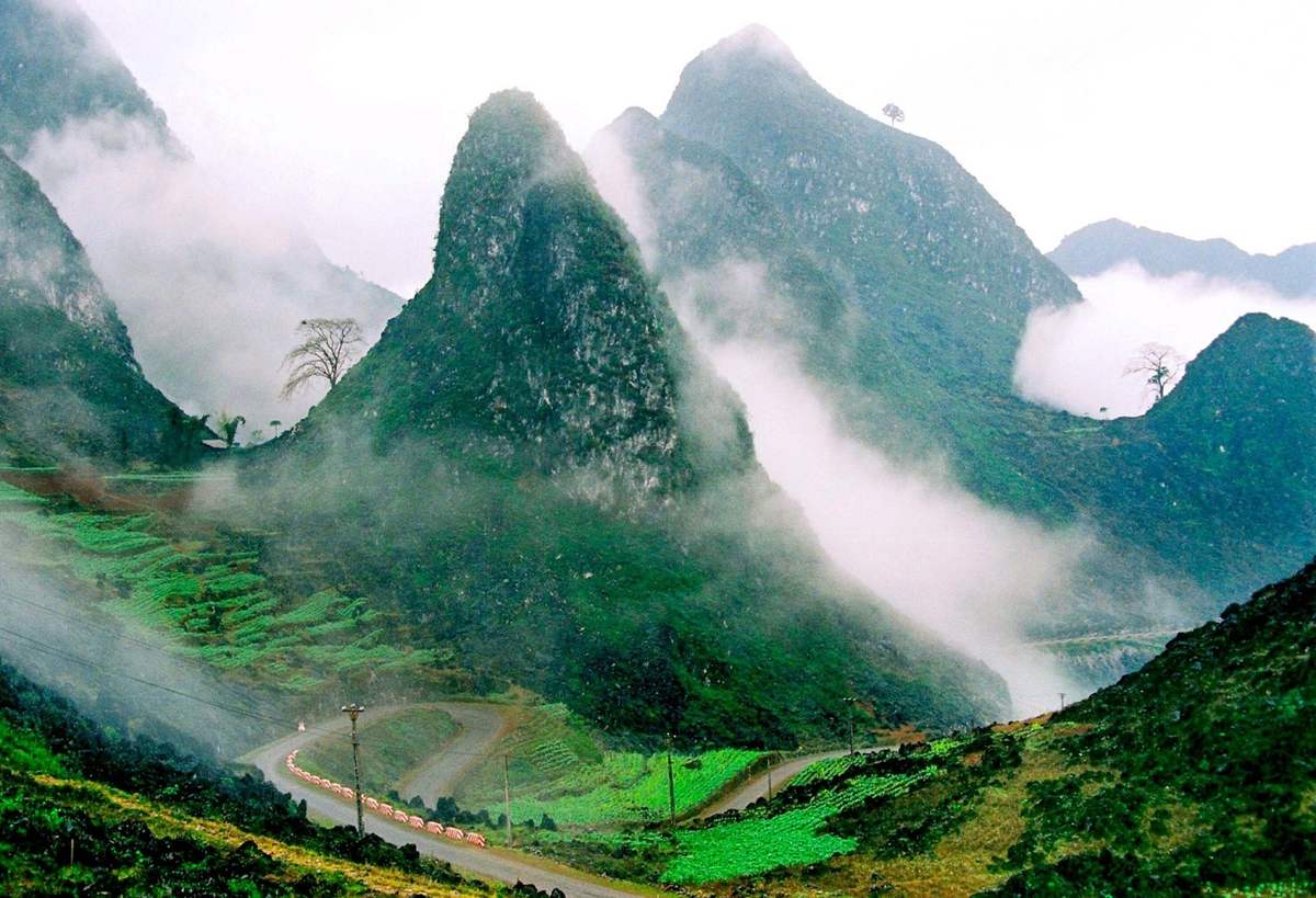 Lịch trình Hà Giang tự túc 5N4Đ khám phá Hoàng Su Phì - Không chỉ là chuyến đi 3