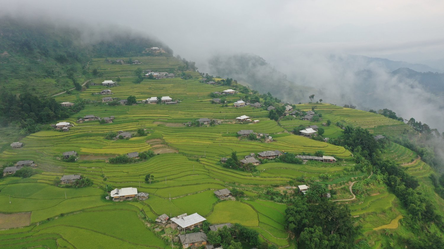 Lịch trình Hà Giang tự túc 5N4Đ khám phá Hoàng Su Phì - Không chỉ là chuyến đi 4