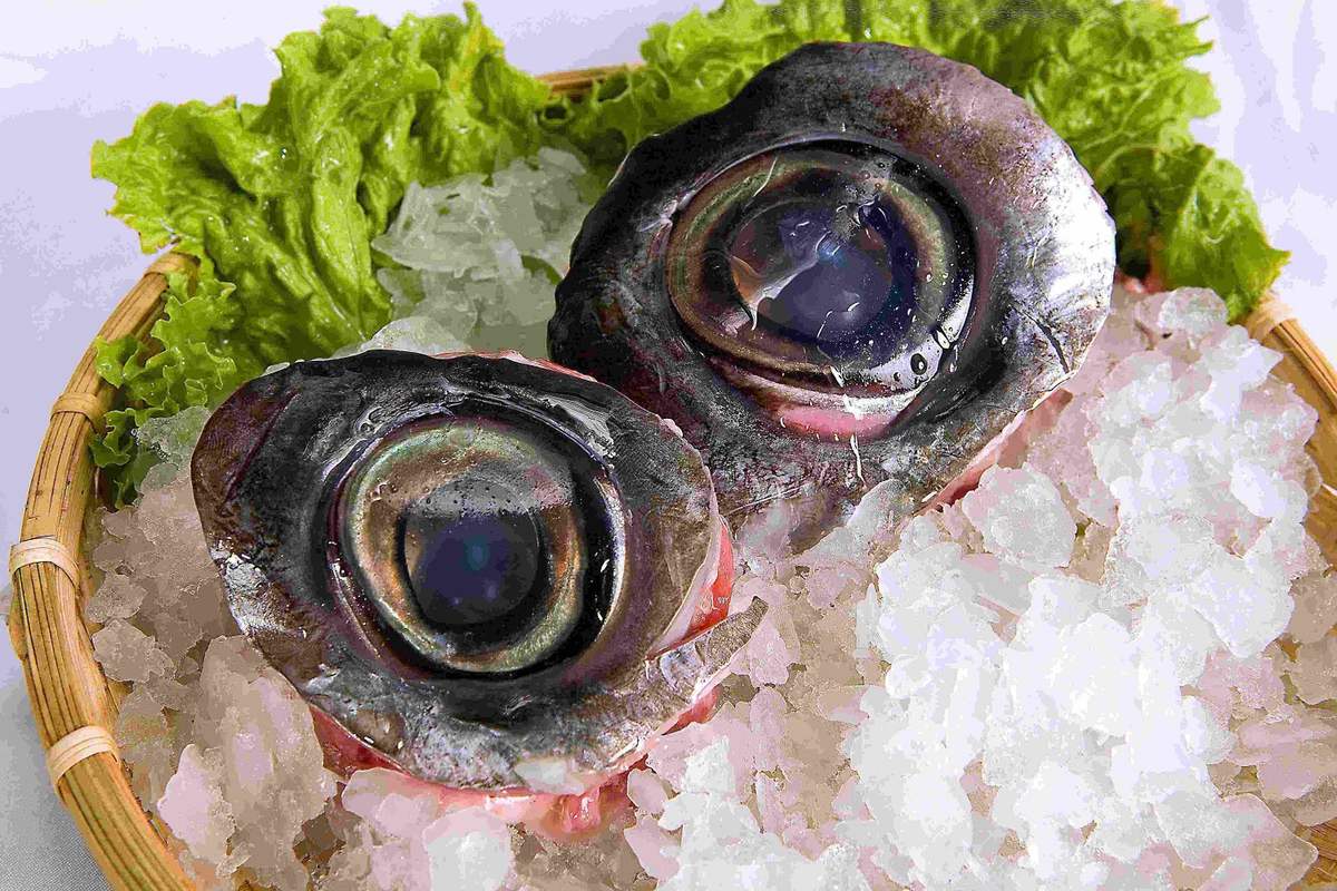 Mắt cá ngừ đại dương - Thức quà giàu dinh dưỡng từ biển cả vùng đất Phú 4