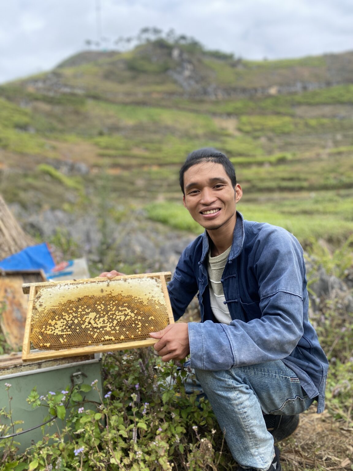 Mật ong bạc hà Hà Giang - Thực phẩm vàng nơi cao nguyên đá 5