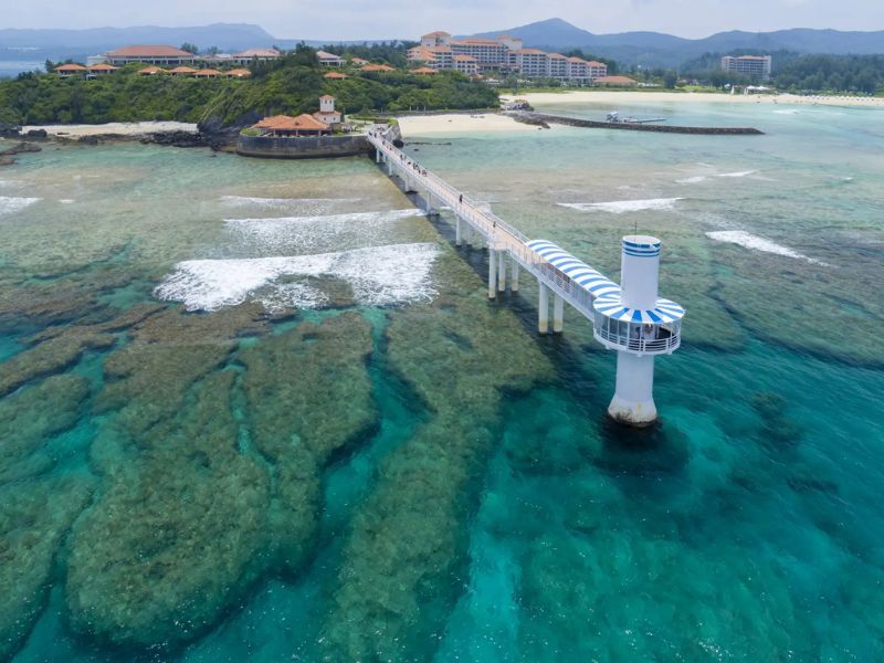 Du lịch Nago: Điểm đến 'chậm mà chất' của Okinawa 4