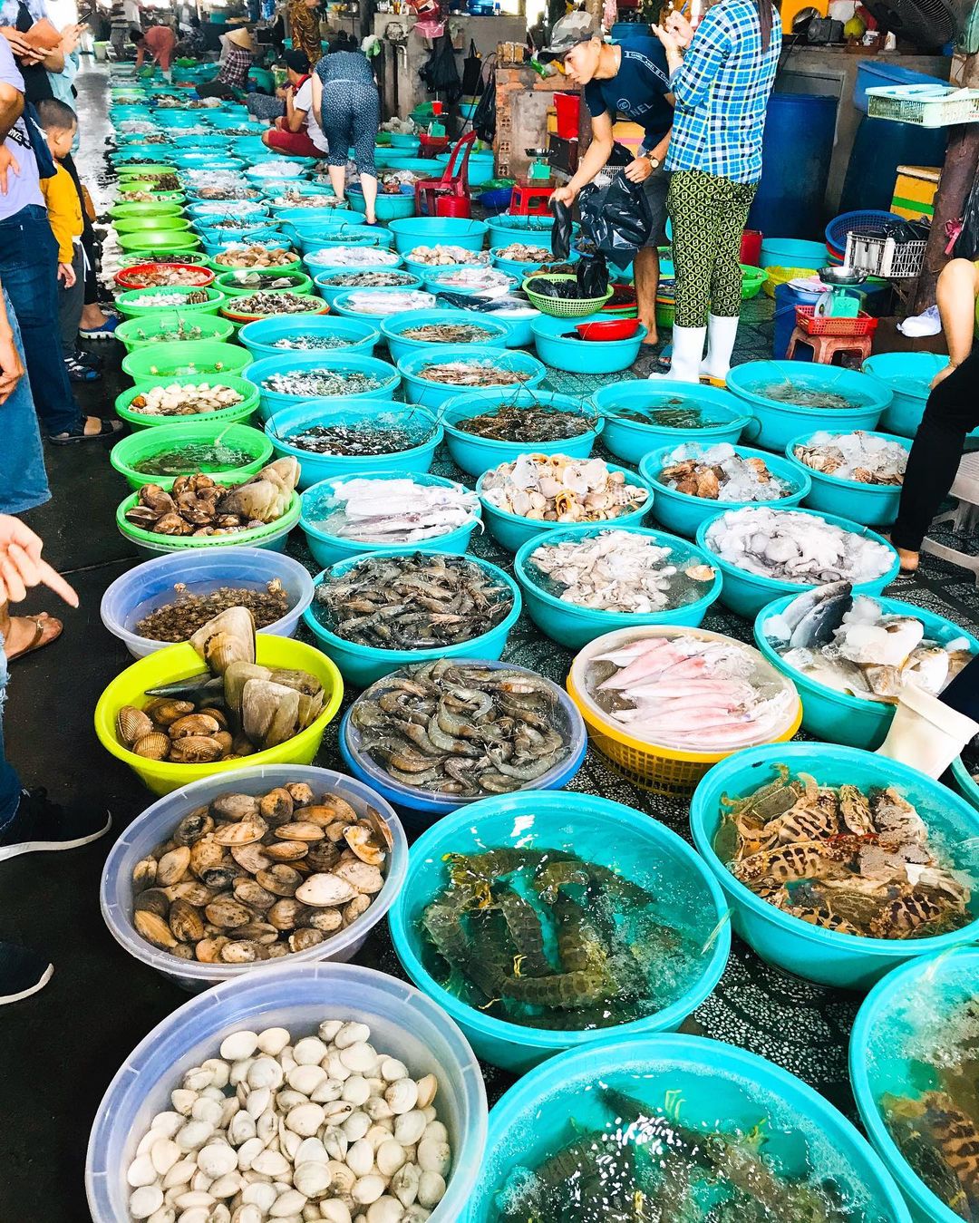 Nằm lòng top 5 chợ hải sản Vũng Tàu để chứng tỏ đẳng cấp tín đồ ẩm thực ngay và luôn nào! 5