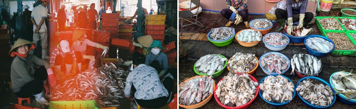 Nằm lòng top 5 chợ hải sản Vũng Tàu để chứng tỏ đẳng cấp tín đồ ẩm thực ngay và luôn nào! 6