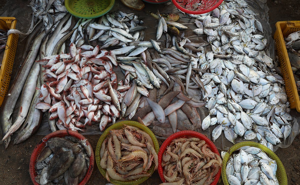 Nằm lòng top 5 chợ hải sản Vũng Tàu để chứng tỏ đẳng cấp tín đồ ẩm thực ngay và luôn nào! 18