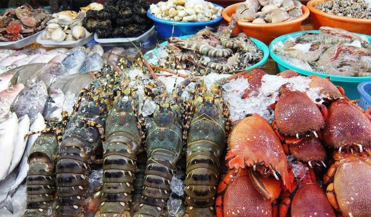 Nằm lòng top 5 chợ hải sản Vũng Tàu để chứng tỏ đẳng cấp tín đồ ẩm thực ngay và luôn nào! 19