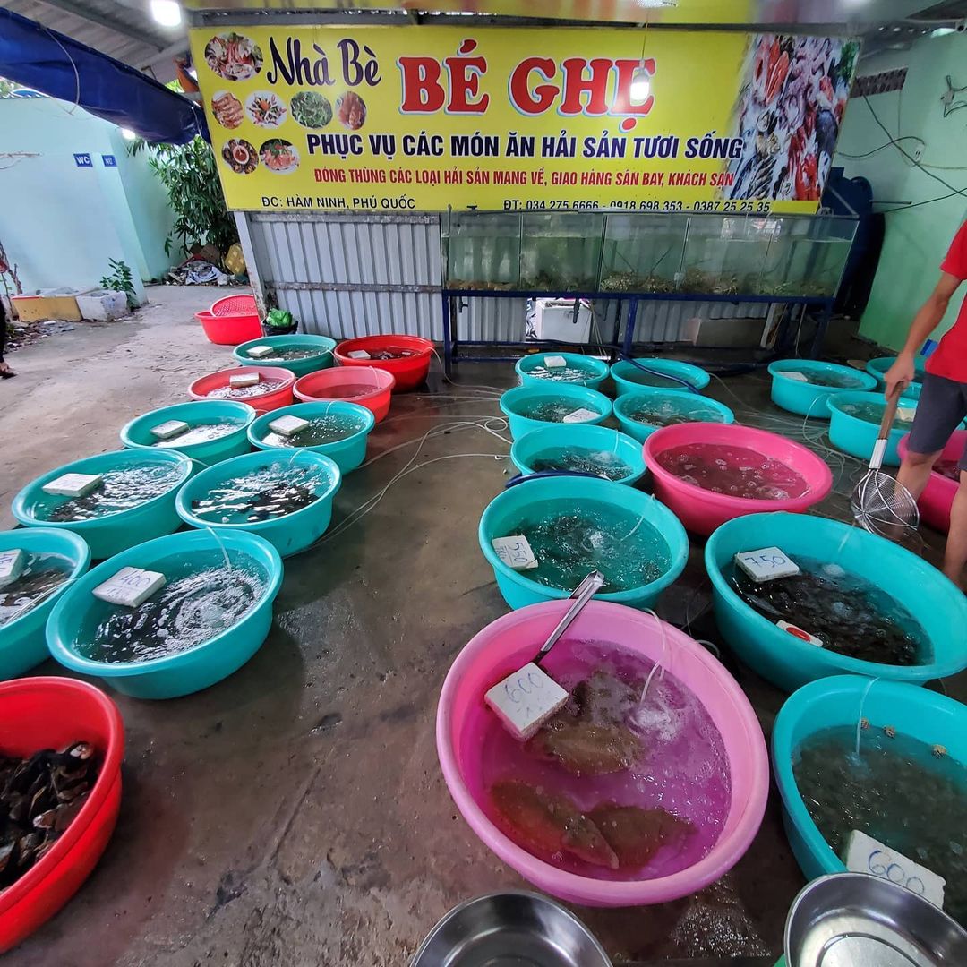 Nhà bè hải sản Bé Ghẹ - Nhà hàng hải sản bình dân ở làng chài Hàm Ninh 3