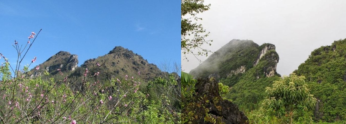 Núi Hàm Rồng Sapa - Ngọn núi hình đầu rồng nổi tiếng của thành phố mờ sương 2