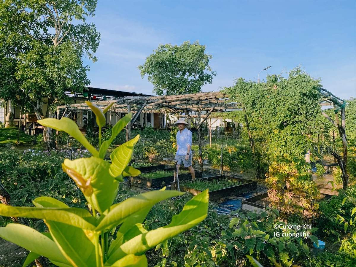 Phan Gia Xanh Garden - Có một khu vườn mộng mơ gần Nha Trang xinh đẹp 7