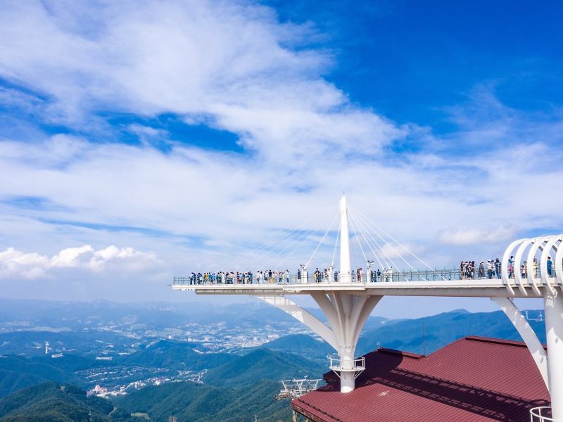 Du ngoạn Pyeongchang giữa núi tuyết và cao nguyên xanh 5