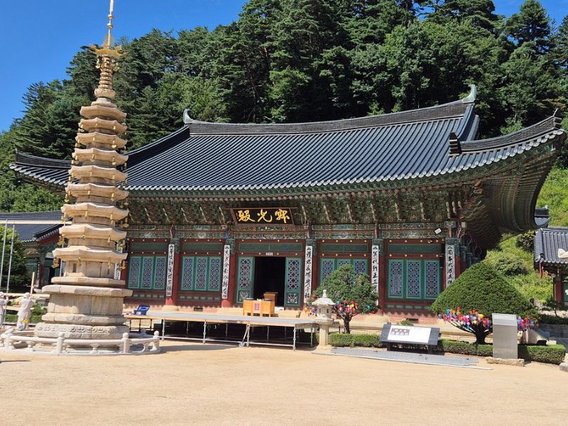 Du ngoạn Pyeongchang giữa núi tuyết và cao nguyên xanh 3
