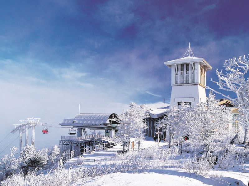 Du ngoạn Pyeongchang giữa núi tuyết và cao nguyên xanh 10