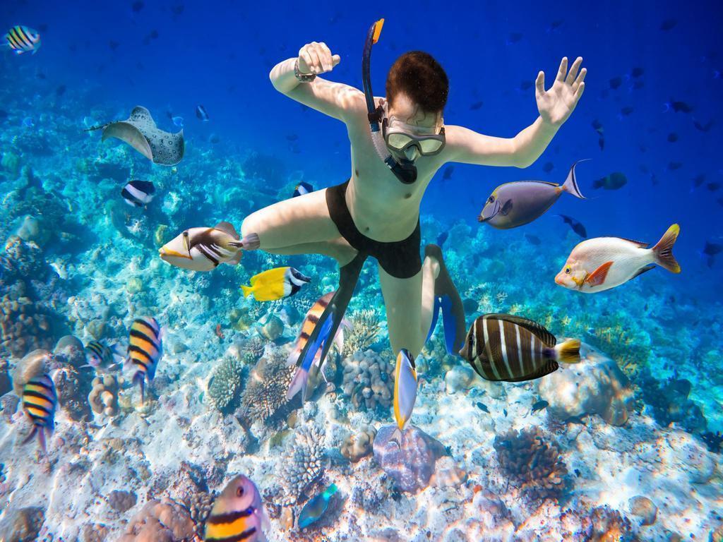 Sealife Nha Trang - Khám phá những hoạt động vui chơi trên biển cực hoành tráng tại Nha Trang 9