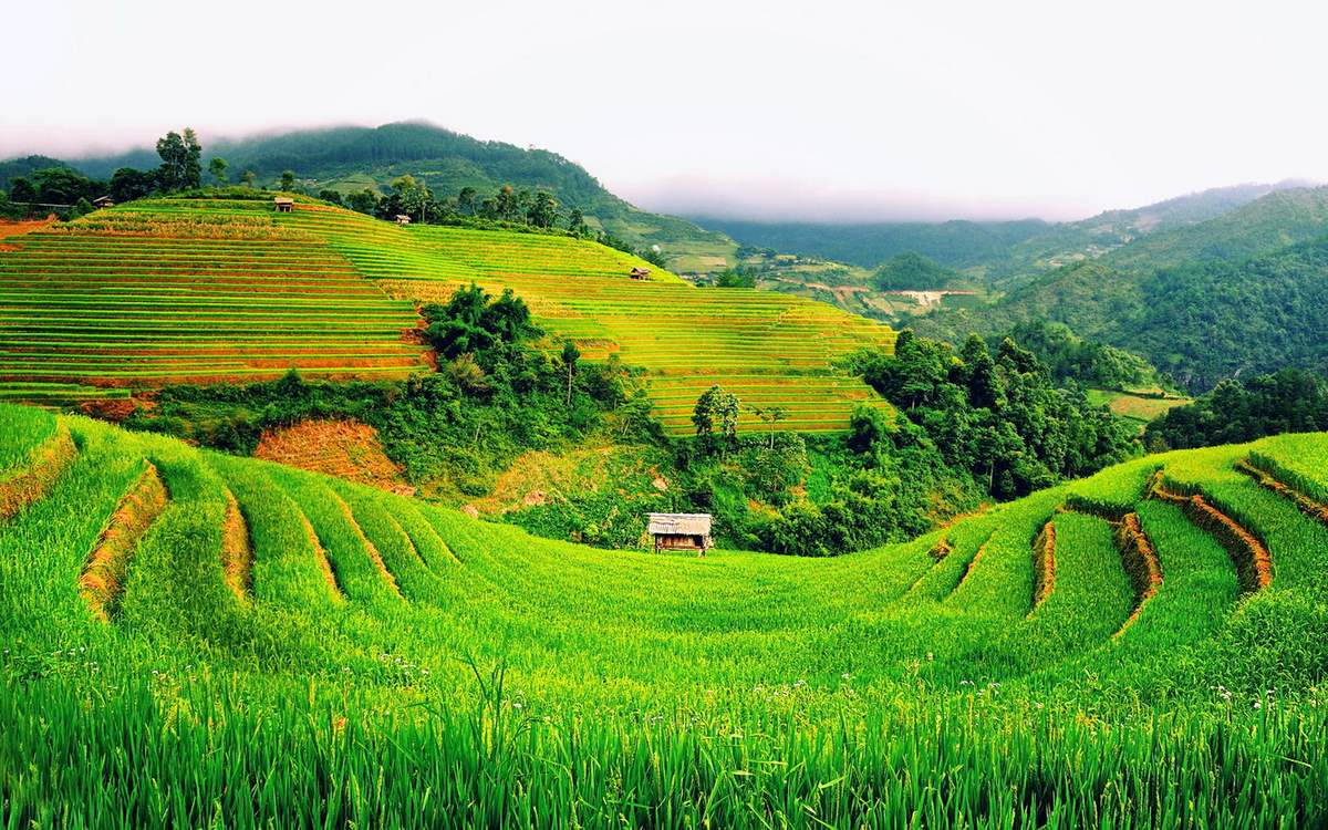 Tả Giàng Phình Sapa - Thung lũng của những người Mông trăm tuổi 9