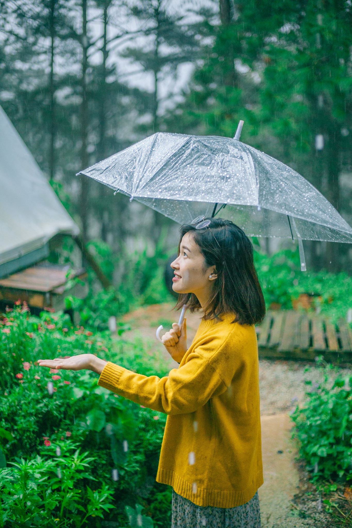 Tháng Sáu đi Đà Lạt chơi gì để nâng tầm trải nghiệm thành phố ngàn hoa qua lăng kính tháng Sáu 3