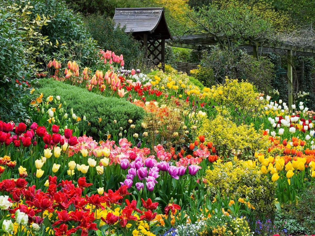 Vườn hoa Đà Lạt – Toạ độ check-in tựa nàng thơ giữa trời Đà Lạt mơ mộng 13