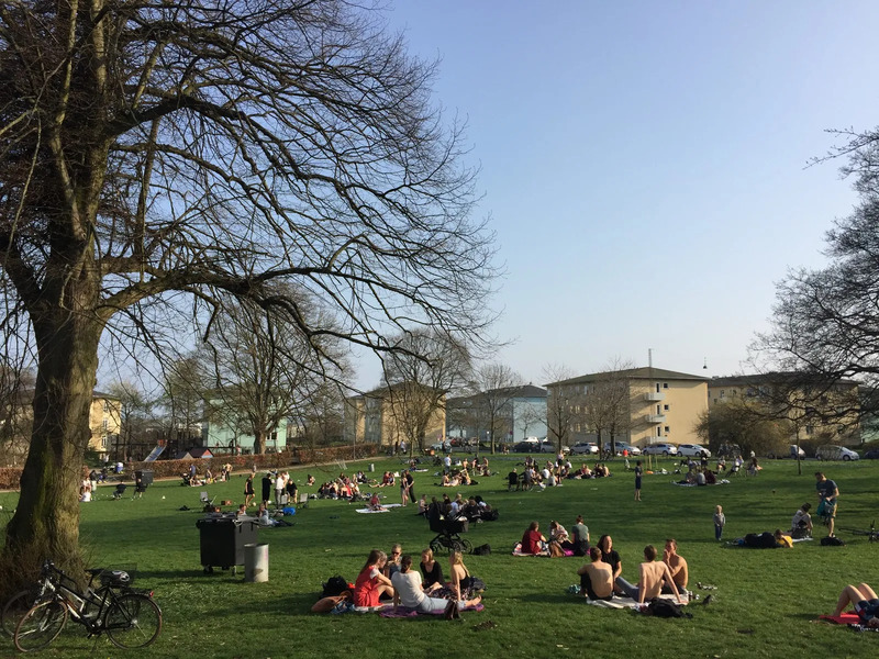 Du lịch Aalborg, Đan Mạch: Hành trình đến vùng đất Bắc Âu cổ xưa 9