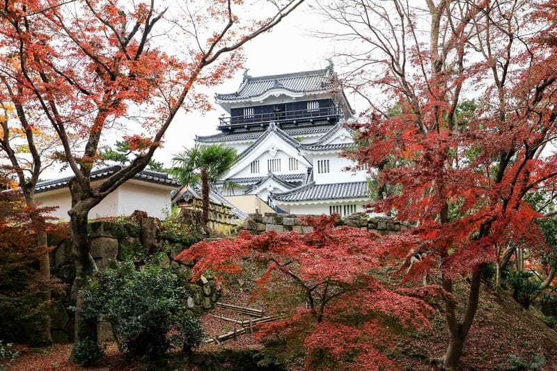 Tỉnh Aichi mảnh đất của lâu đài và samurai tại Nhật Bản 10