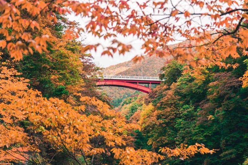 Akita: Hành trình tìm về vẻ đẹp của miền Bắc nước Nhật 4