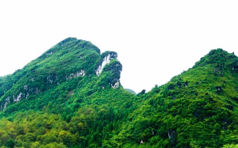 Sapa Nature View Hotel - Lặng ngắm nét đẹp truyền thống và hiện đại giữa lòng thị trấn Sapa 21