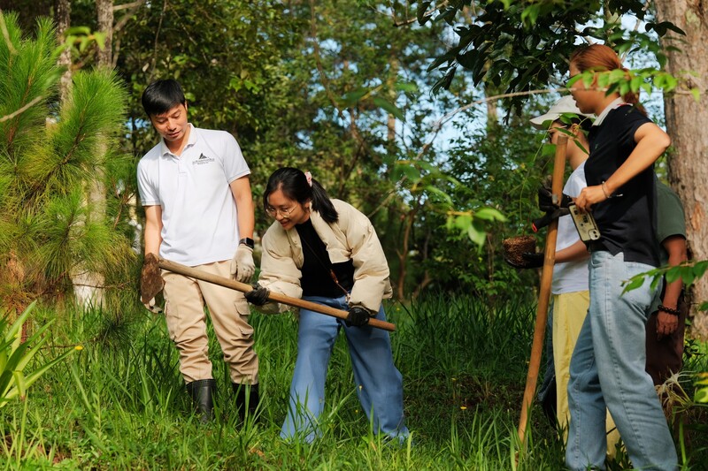 Ana Mandara Dalat nơi trở về Đà Lạt xưa giữa rừng thông 8