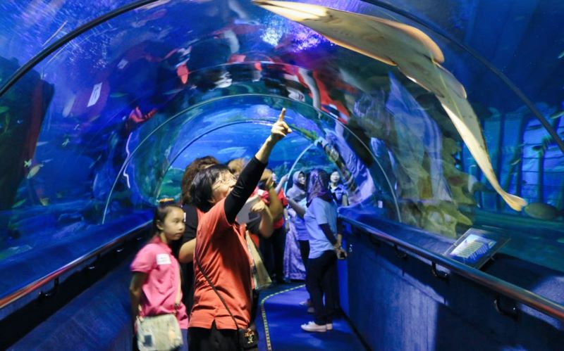 Khám phá Aquaria KLCC với hơn 5.000 sinh vật biển đặc sắc 3