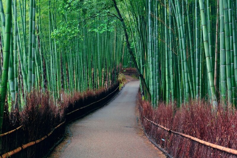Arashiyama nơi tụ hội những viên ngọc tự nhiên tại Kyoto 2