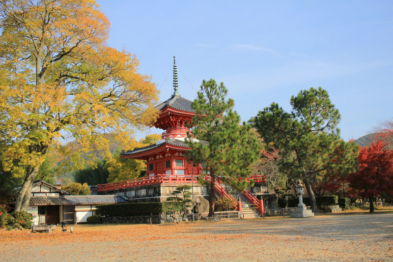 Arashiyama nơi tụ hội những viên ngọc tự nhiên tại Kyoto 11