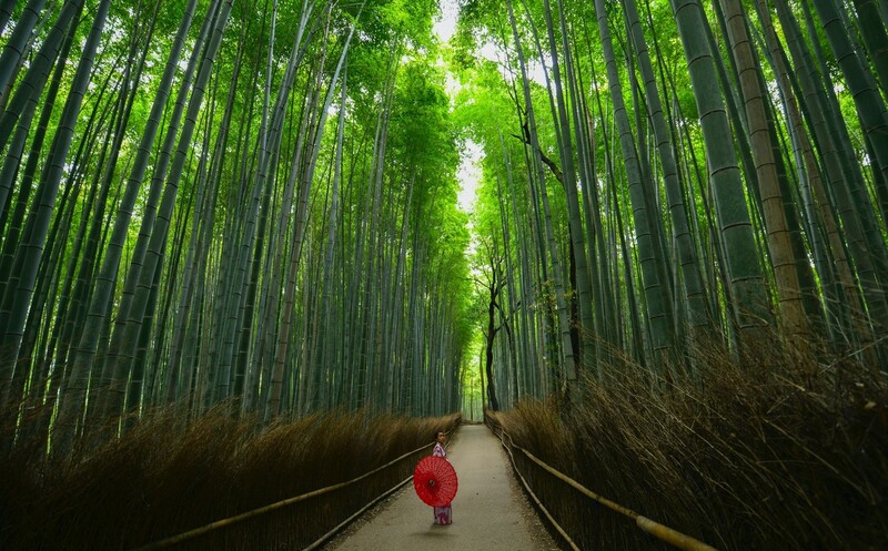 Arashiyama nơi tụ hội những viên ngọc tự nhiên tại Kyoto 4