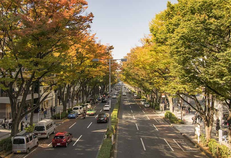 Khám phá Omotesando: Đại lộ hiện đại, xịn sò nhất tại Tokyo 4