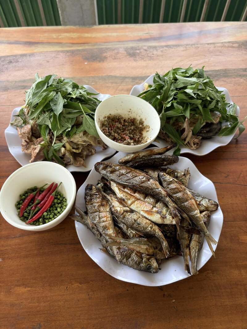 Ghé thăm Ba Tơ Quảng Ngãi, chuyến đi về nguồn và săn biển mây vùng sơn cước 8