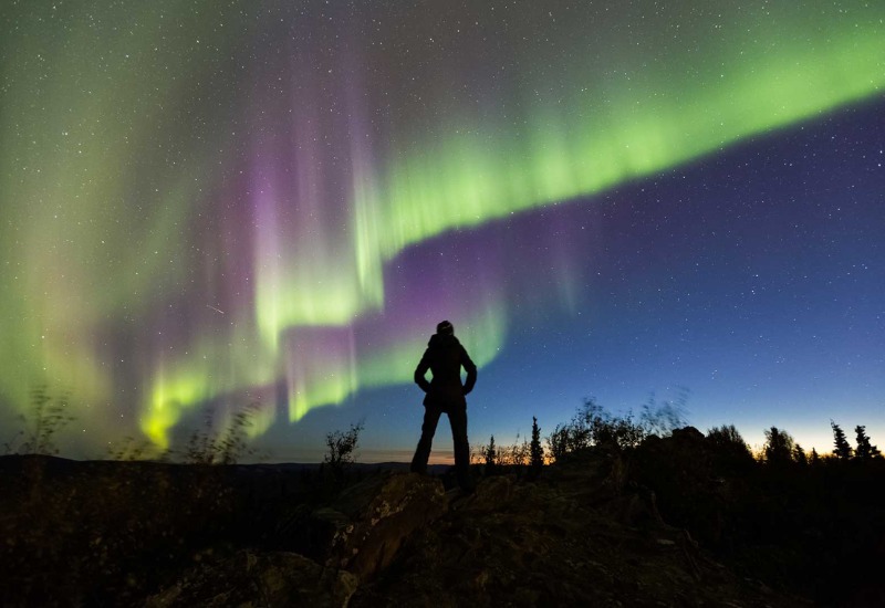 Du lịch Fairbanks: Thành phố Vàng kỳ vĩ giữa lòng Alaska 5