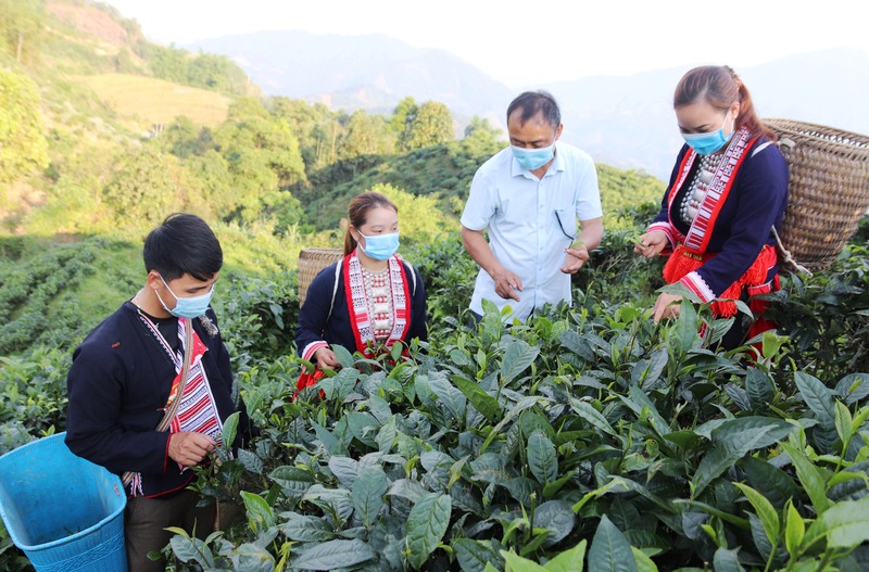 Bắc Quang Hà Giang: Cửa ngõ du lịch mới nơi miền núi xa xôi 6