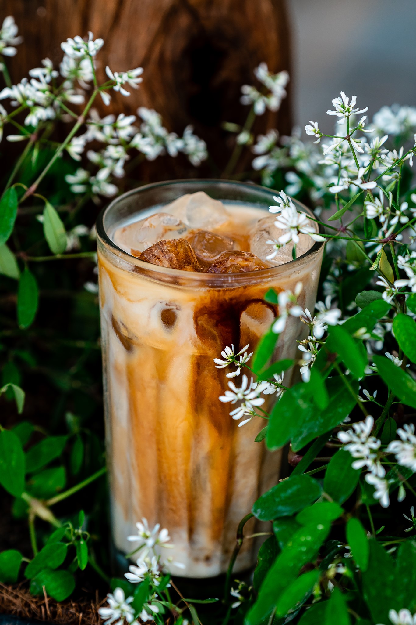 Bạch Dương Coffee Bistro ẩn hiện hòa mình chốn núi rừng Kon Tum 8