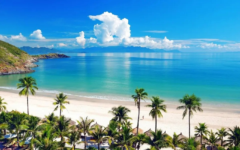 Top 7 bãi biển Quảng Ngãi đẹp nhất nên ghé thăm ít nhất một lần 12