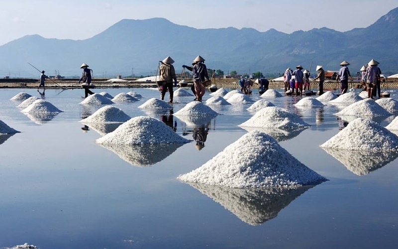 Top 7 bãi biển Quảng Ngãi đẹp nhất nên ghé thăm ít nhất một lần 7