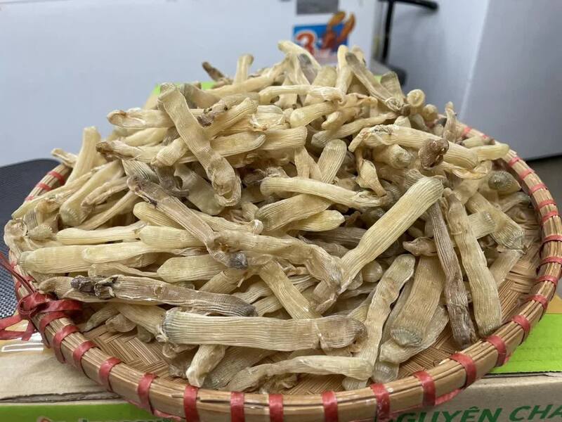 Bãi Cháy Hạ Long: Mảnh ghép dịu mát giữa ngày hè Quảng Ninh 11