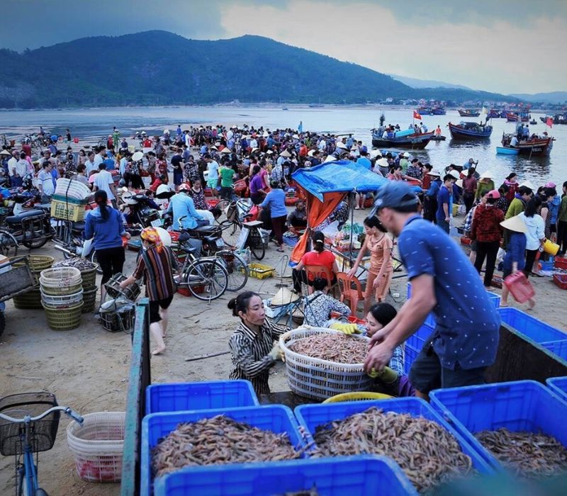 Bãi Chệt Nam Du: 'Trái tim' của đảo Hòn Lớn và kinh nghiệm vui chơi chi tiết 6