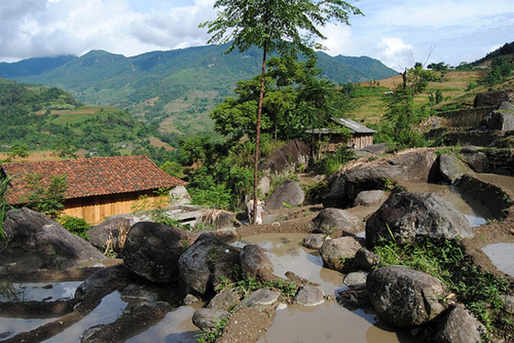 Bãi đá cổ Nấm Dẩn - Hà Giang và những giá trị lịch sử lâu đời 4