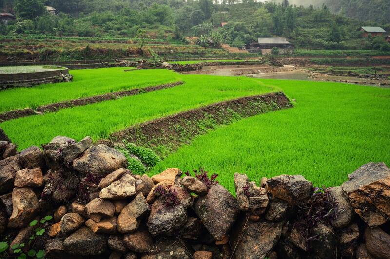 Bản Cát Cát Sapa 2026: Giá vé, điểm tham quan, ăn gì và kinh nghiệm chi tiết 21