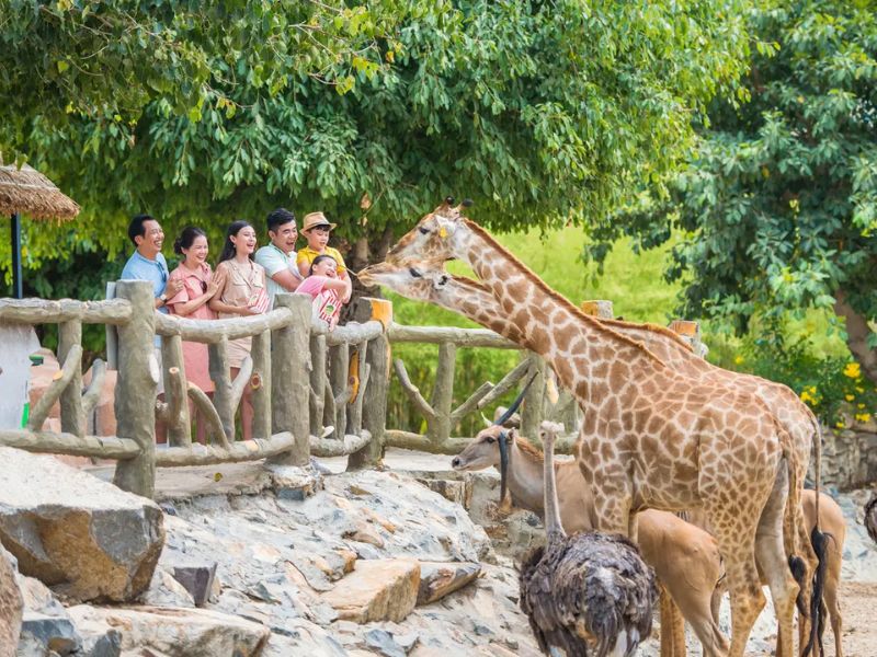 Bản đồ Vinpearl Nha Trang từ A-Z: Ăn uống, vui chơi, nghỉ ngơi 4