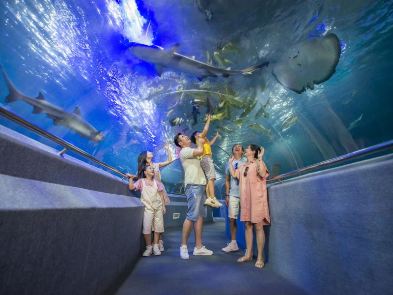 Bản đồ Vinpearl Nha Trang từ A-Z: Ăn uống, vui chơi, nghỉ ngơi 6