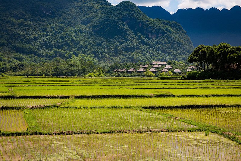 Bản Lác Mai Châu với vẻ đẹp bất tận thu hút bao người 13