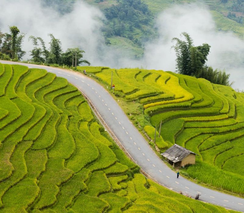 Bản Lao Chải 1 Lai Châu: Cẩm nang trải nghiệm ‘vườn địa đàng’ của người Mông 5