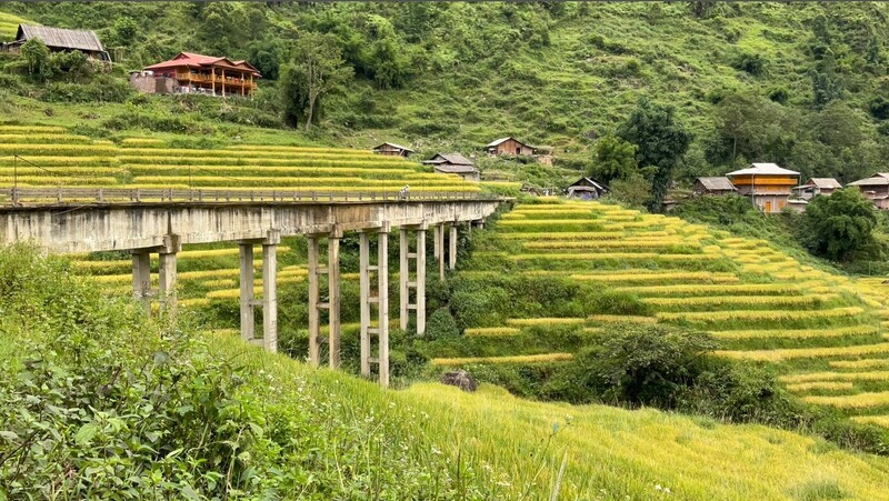 Bản Lao Chải bình yên như bản tình ca của núi đồi Sapa 3