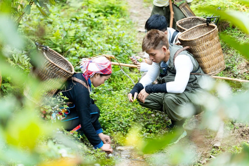 Bản Liền Pine Homestay: Thử sống như người bản giữa núi rừng Bắc Hà 2