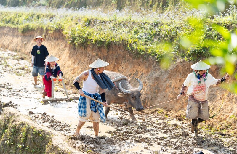 Bản Liền Pine Homestay: Thử sống như người bản giữa núi rừng Bắc Hà 6
