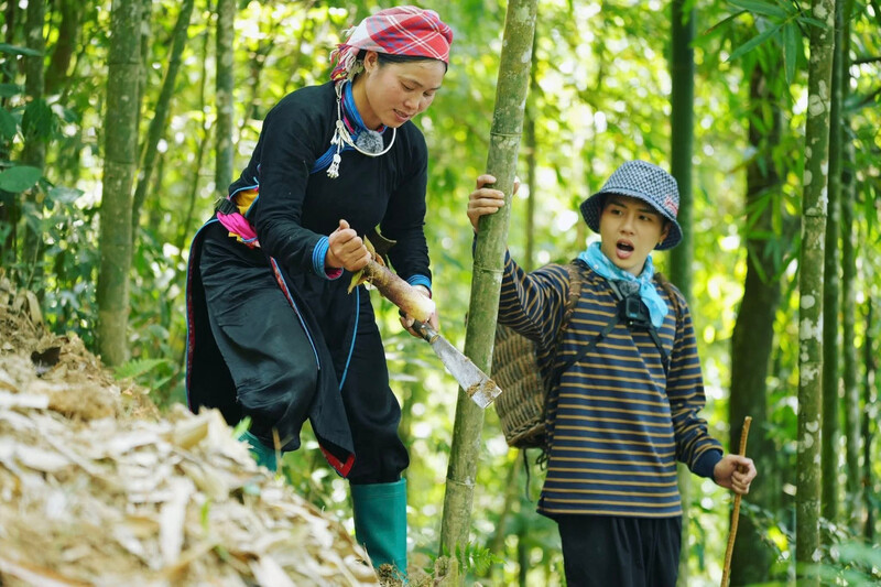 Bản Liền Pine Homestay: Thử sống như người bản giữa núi rừng Bắc Hà 8