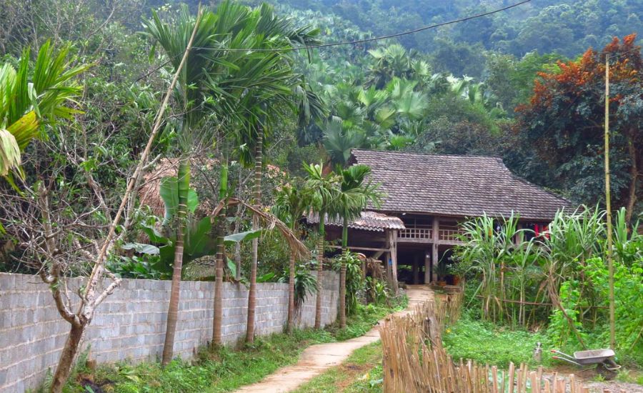 Bản Tùy homestay Hà Giang, mái nhà đầm ấm giữa núi rừng Tây Bắc 2