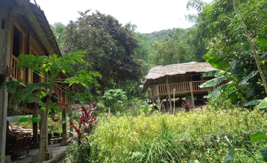 Bản Tùy homestay Hà Giang, mái nhà đầm ấm giữa núi rừng Tây Bắc 3