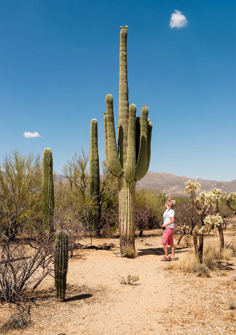 Kinh nghiệm du lịch bang Arizona từ A đến Z dành cho bạn 5